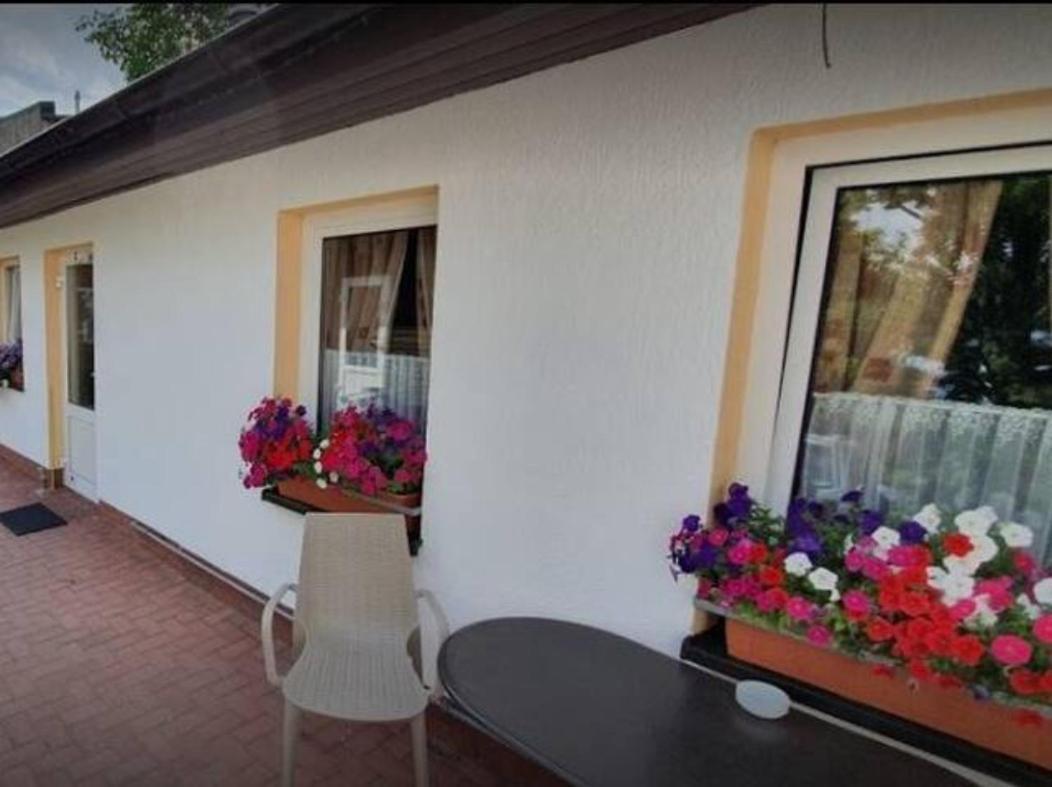 Schoene Geraeumige Ferienwohnung Am Park Heringsdorf Zewnętrze zdjęcie