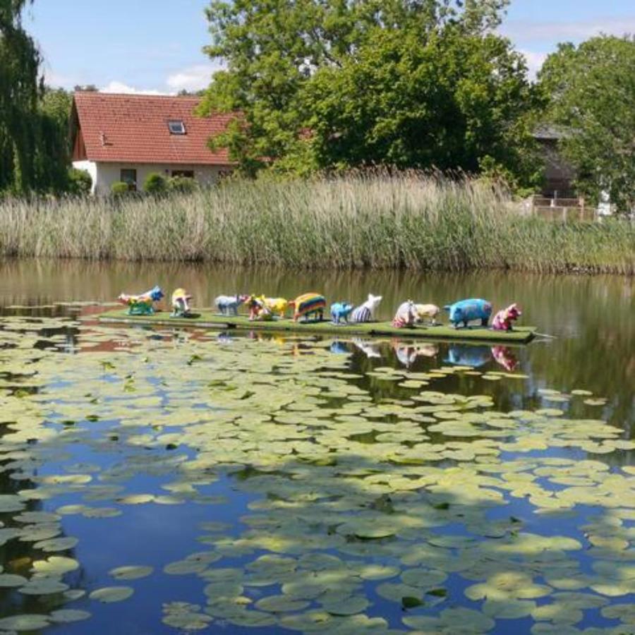 Schoene Geraeumige Ferienwohnung Am Park Heringsdorf Zewnętrze zdjęcie